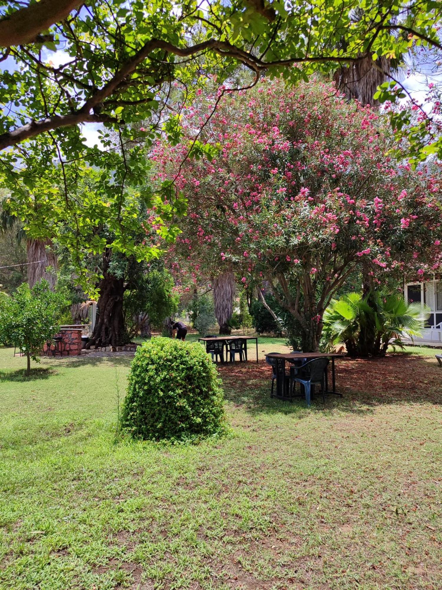Kuecuek Ev Bed and Breakfast Kumluca Εξωτερικό φωτογραφία